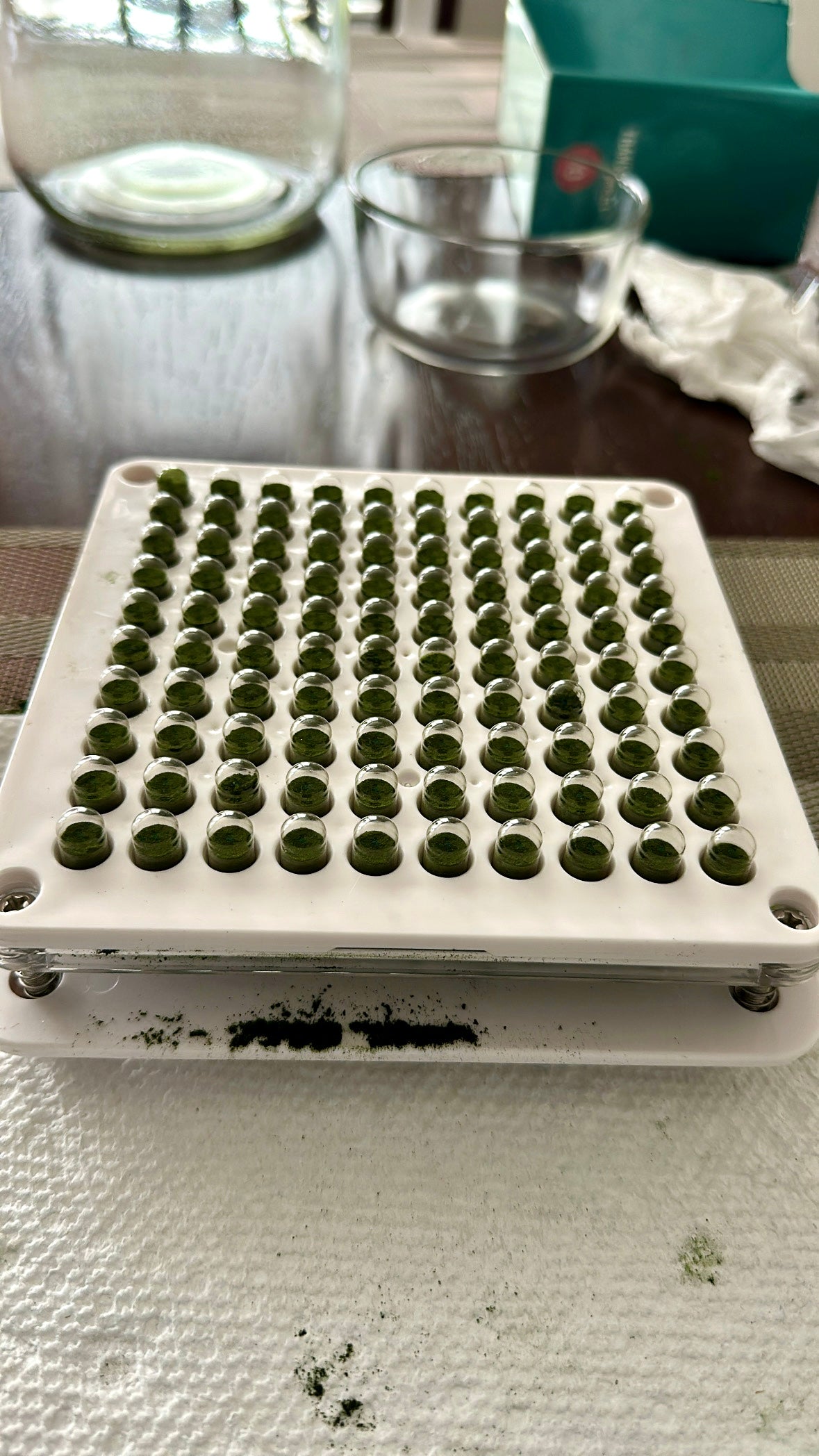 Chlorella Capsules (60 count)